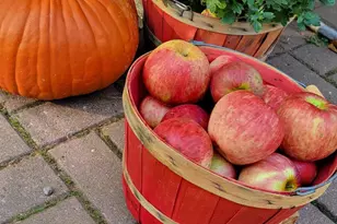 84335 Jack Pine Ln, Sturgeon Lake, MN 55783 - Photo 54