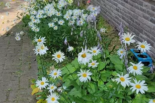 84335 Jack Pine Ln, Sturgeon Lake, MN 55783 - Photo 58