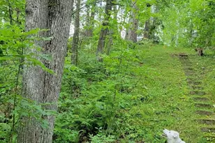 84335 Jack Pine Ln, Sturgeon Lake, MN 55783 - Photo 56