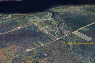 9289 Dawson Rd NW, Angle Inlet, MN 56711 - Photo 28