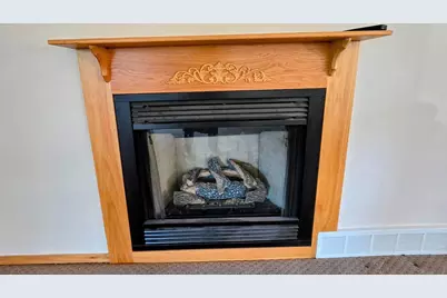 1318 161st Street, Holland, MN 56139 - Photo 30