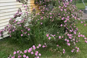 1662 County 7 NE, Longville, MN 56655 - Photo 52