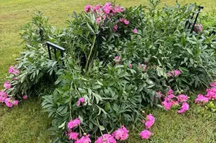 1662 County 7 NE, Longville, MN 56655 - Photo 54