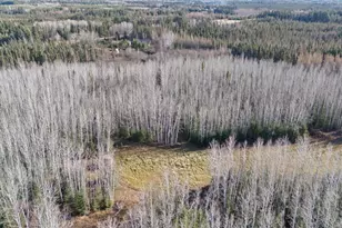 4017 Hwy 25, Cherry Twp, MN 55751 - Photo 22