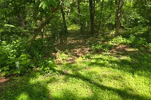 4570 Pine Point Dr NW, Turtle Lake Township, MN 56484 - Photo 10