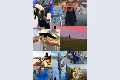 24191 Deerwood Lane, Deerwood, MN 56444 - Photo 2