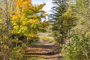 66551 345th Pl, Hill City, MN 55748 - Photo 26