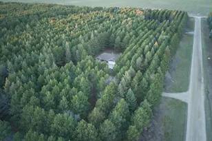 36915 Oak Point Dr, Otto Twp, MN 56567 - Photo 64