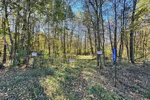 23043 210th St, Long Prairie, MN 56347 - Photo 1