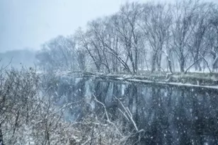 26130 Rum River Dr NW, Isanti, MN 55040 - Photo 24