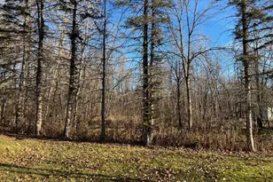 7302 Lake Camile Dr, Randall, MN 56475 - Photo 26