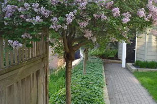 5104 Newton Ave S, Minneapolis, MN 55419 - Photo 10