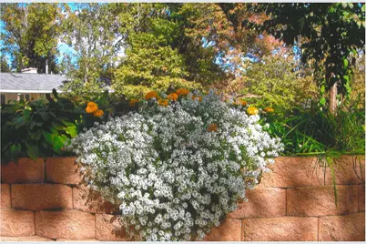 2120 138th Avenue NW, Andover, MN 55304 - Photo 32