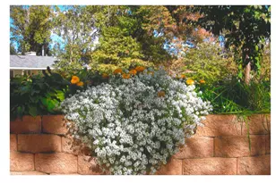 2120 138th Ave NW, Andover, MN 55304 - Photo 32