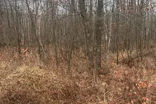 Tbd Lake Camile, Cushing Township, MN 56475 - Photo 1