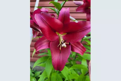 2916 6th Avenue NW, Rochester, MN 55901 - Photo 52