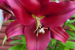 2916 6th Ave NW, Rochester, MN 55901 - Photo 52