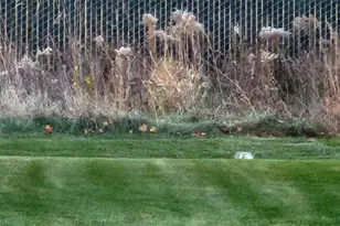 4213 Blakewood Dr, Shakopee, MN 55379 - Photo 34