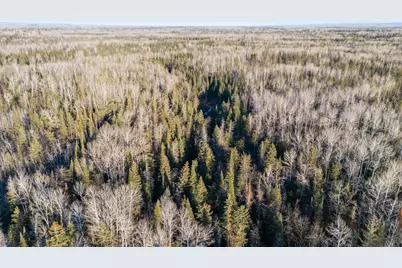 Tbd County Road 103, Barnum, MN 55707 - Photo 14