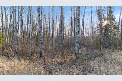 Tbd County Road 103, Barnum, MN 55707 - Photo 20