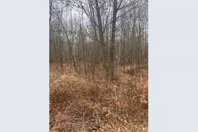 Tbdx Lake Camile, Cushing Township, MN 56475 - Photo 1