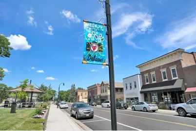 897 Big Woods Drive, Delano, MN 55328 - Photo 36