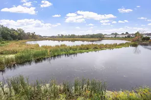 16242 50th Ave N, Plymouth, MN 55446 - Photo 38