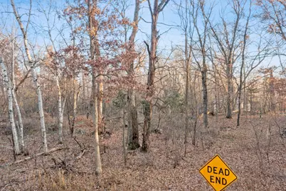 Tbd 97 1/2 Street NW, Zimmerman, MN 55398 - Photo 14