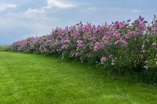 16063 County Hwy 8, Tracy, MN 56175 - Photo 40