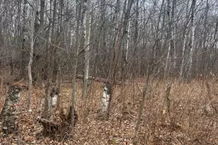 Tbdxxxx Golf Course Dr, Cushing Township, MN 56443 - Photo 1