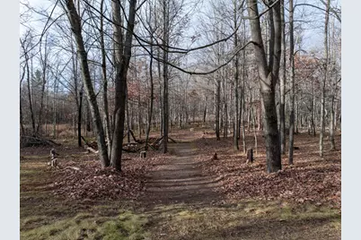 3715 Deer Lodge Drive, Danbury, WI 54830 - Photo 10