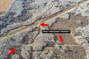 3887 S Lyman Lake Rd, South Range, WI 54874 - Photo 16