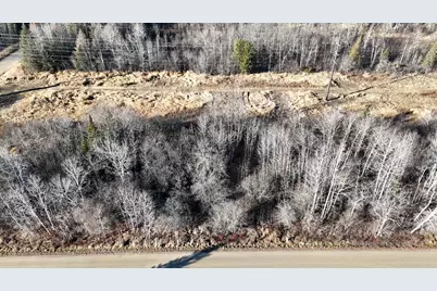 Parcel C Parameter Road, Deer River, MN 56636 - Photo 2