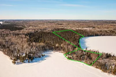 95150 Bystrom Bay, Tower, MN 55790 - Photo 2