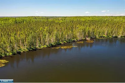 95150 Bystrom Bay, Tower, MN 55790 - Photo 6