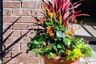 617 Crane Creek Ln, Eagan, MN 55121 - Photo 2