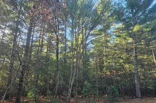 Xxx Harmon Ave E, Grantsburg, WI 54840 - Photo 1