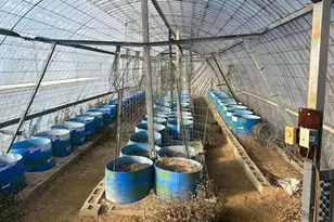 26070 County 9, Bemidji, MN 56601 - Photo 18