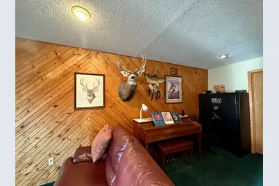 102 S Prospect Street, Hardwick, MN 56134 - Photo 30