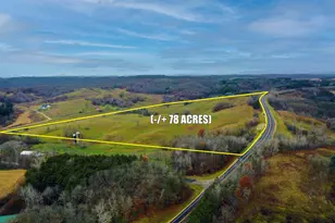 Tbd S State Road 93, Eleva, WI 54738 - Photo 1