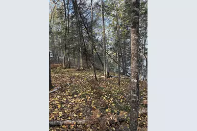 0000 Bass Lake Road, Gilbert, MN 55741 - Photo 32