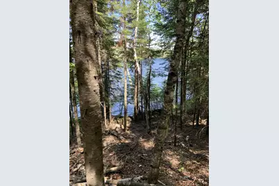 0000 Bass Lake Road, Gilbert, MN 55741 - Photo 38