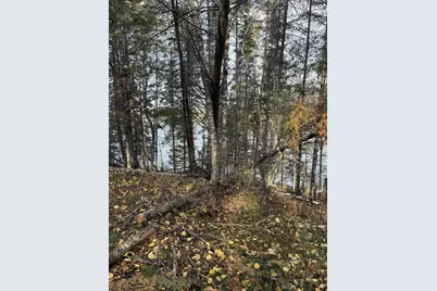0000 Bass Lake Road, Gilbert, MN 55741 - Photo 20