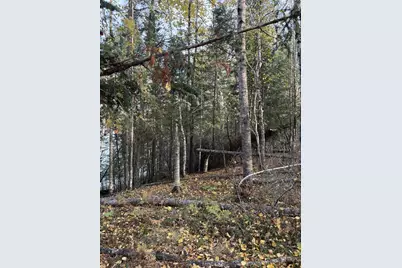 0000 Bass Lake Road, Gilbert, MN 55741 - Photo 22