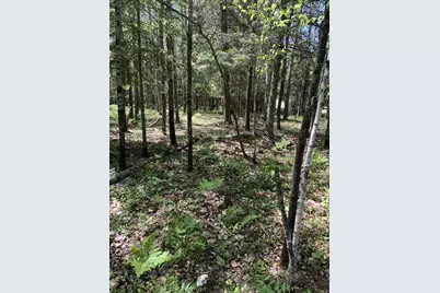 0000 Bass Lake Road, Gilbert, MN 55741 - Photo 36