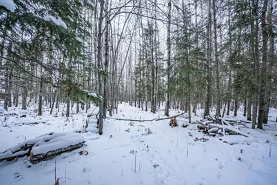 0000 Bass Lake Road, Gilbert, MN 55741 - Photo 24