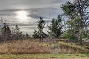 7557 Fallen Leaf Cir, Pequot Lakes, MN 56472 - Photo 4