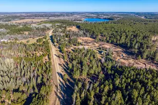 39494 County 4, Lake George Township, MN 56458 - Photo 28