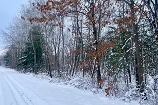 Tbd Spruce Circle, Garrison, MN 56450 - Photo 1