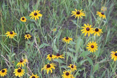 Tbd Norwegian Road, Vining, MN 56588 - Photo 4